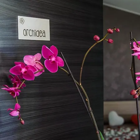 Bed & Breakfast Fiorita Piazza Armerina